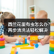 西兰花里有虫怎么办？两步清洗法轻松解决
