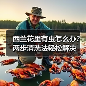 西兰花里有虫怎么办？两步清洗法轻松解决（图2）