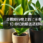 步数排行榜上的“王者”们 你们的膝盖还好吗