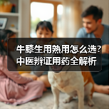 牛膝生用熟用怎么选？中医辨证用药全解析