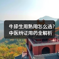 牛膝生用熟用怎么选？中医辨证用药全解析（图4）