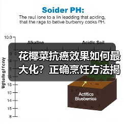 花椰菜抗癌效果如何最大化？正确烹饪方法揭秘