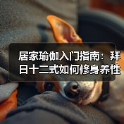 居家瑜伽入门指南：拜日十二式如何修身养性？