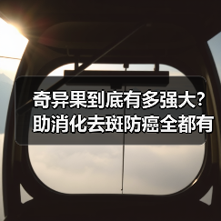 奇异果到底有多强大？助消化去斑防癌全都有！（图3）
