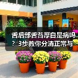 舌后部舌苔厚白是病吗？3步教你分清正常与异常（图2）