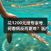 花1200元挂专家号，为何看病反而更难？医疗高质量发展真相揭秘（图4）