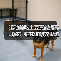 运动前吃土豆真能提高成绩？研究证明效果堪比碳水凝胶