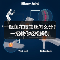 鱿鱼花枝软丝怎么分？一招教你轻松辨别（图4）