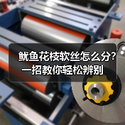 鱿鱼花枝软丝怎么分？一招教你轻松辨别（图3）
