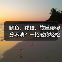 鱿鱼、花枝、软丝傻傻分不清？一招教你轻松辨别！