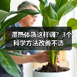 湿热体质这样调？3个科学方法改善不适