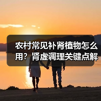 农村常见补肾植物怎么用？肾虚调理关键点解析
