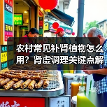 农村常见补肾植物怎么用？肾虚调理关键点解析（图2）