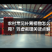农村常见补肾植物怎么用？肾虚调理关键点解析（图3）