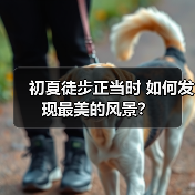 初夏徒步正当时 如何发现最美的风景？（图4）