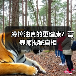 冷榨油真的更健康？营养师揭秘真相（图2）