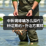 中医调哮喘怎么操作？辨证用药+外治方案降复发风险（图2）