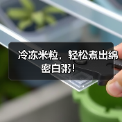冷冻米粒，轻松煮出绵密白粥！