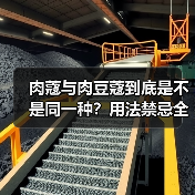 肉蔻与肉豆蔻到底是不是同一种？用法禁忌全解析（图2）