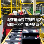 肉蔻与肉豆蔻到底是不是同一种？用法禁忌全解析（图4）