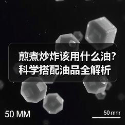 煎煮炒炸该用什么油?科学搭配油品全解析(图3) 煎煮炒炸该用什么油?科学搭配油品全解析(图3)
