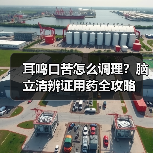 耳鸣口苦怎么调理?脑立清辨证用药全攻略(图1) 耳鸣口苦怎么调理?脑立清辨证用药全攻略(图1)