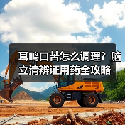耳鸣口苦怎么调理?脑立清辨证用药全攻略(图4) 耳鸣口苦怎么调理?脑立清辨证用药全攻略(图4)