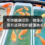 年终健康投资:健身消费升温背后的健康追求(图4) 年终健康投资:健身消费升温背后的健康追求(图4)