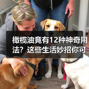 橄榄油竟有12种神奇用法?这些生活妙招你可能都不知道(图1) 橄榄油竟有12种神奇用法?这些生活妙招你可能都不知道(图1)