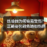 练瑜伽为何容易受伤?正确姿势避免瑜伽伤病(图4) 练瑜伽为何容易受伤?正确姿势避免瑜伽伤病(图4)