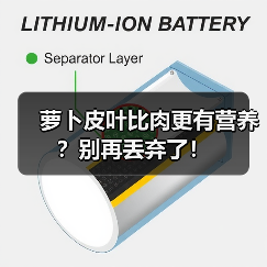 萝卜皮叶比肉更有营养?别再丢弃了!(图3) 萝卜皮叶比肉更有营养?别再丢弃了!(图3)