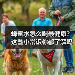 蜂蜜水怎么喝最健康?这些小常识你都了解吗?(图1) 蜂蜜水怎么喝最健康?这些小常识你都了解吗?(图1)