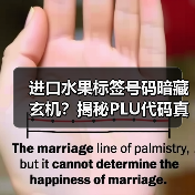 进口水果标签号码暗藏玄机?揭秘PLU代码真实含义(图2) 进口水果标签号码暗藏玄机?揭秘PLU代码真实含义(图2)