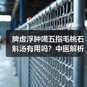 脾虚浮肿喝五指毛桃石斛汤有用吗？中医解析调理逻辑