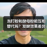 泡打粉和酵母粉能互相替代吗?发酵效果差异大揭秘(图4) 泡打粉和酵母粉能互相替代吗?发酵效果差异大揭秘(图4)