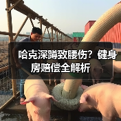 哈克深蹲致腰伤？健身房赔偿全解析