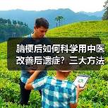 脑梗后如何科学用中医改善后遗症？三大方法详解（图4）