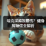 哈克深蹲致腰伤?健身房赔偿全解析(图4) 哈克深蹲致腰伤?健身房赔偿全解析(图4)