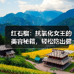 红石榴：抗氧化女王的美容秘籍，轻松吃出健康活力！（图3）