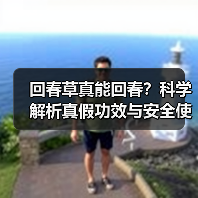 回春草真能回春？科学解析真假功效与安全使用真相