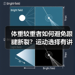 体重较重者如何避免跟腱断裂?运动选择有讲究(图4) 体重较重者如何避免跟腱断裂?运动选择有讲究(图4)