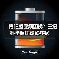 肾阳虚尿频困扰?三招科学调理缓解症状(图2) 肾阳虚尿频困扰?三招科学调理缓解症状(图2)