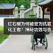 红石榴为何被誉为抗氧化王者?揭秘功效与食用妙招(图3) 红石榴为何被誉为抗氧化王者?揭秘功效与食用妙招(图3)