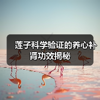 莲子科学验证的养心补肾功效揭秘(图3) 莲子科学验证的养心补肾功效揭秘(图3)