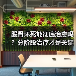 股骨坏死能彻底治愈吗?分阶段治疗才是关键(图4) 股骨坏死能彻底治愈吗?分阶段治疗才是关键(图4)