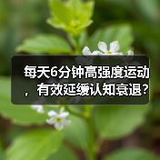 每天6分钟高强度运动，有效延缓认知衰退？（图4）