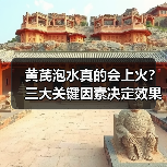 黄芪泡水真的会上火？三大关键因素决定效果（图4）