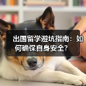 出国留学避坑指南:如何确保自身安全?(图3) 出国留学避坑指南:如何确保自身安全?(图3)