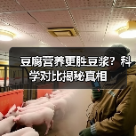 豆腐营养更胜豆浆？科学对比揭秘真相（图3）