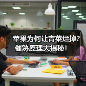 苹果为何让青菜烂掉?催熟原理大揭秘!(图1) 苹果为何让青菜烂掉?催熟原理大揭秘!(图1)
